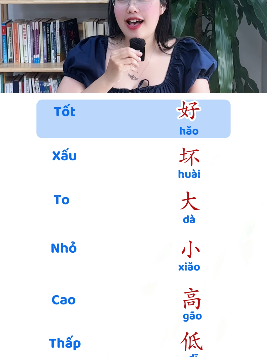 Ôn tập tính từ trong tiếng Trung #LearnOnTikTok#chineselearning #chinese #hankichinese