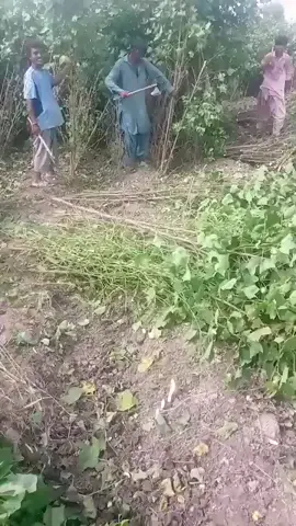 #onthisday #😭😭😭🥹🥹🥹🥹😭