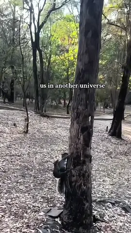 Us in another universe💕💕#cute #Love #loveyou #funny 