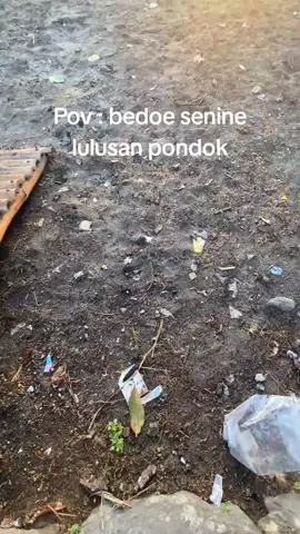 MasyaAllah tabarakallah 