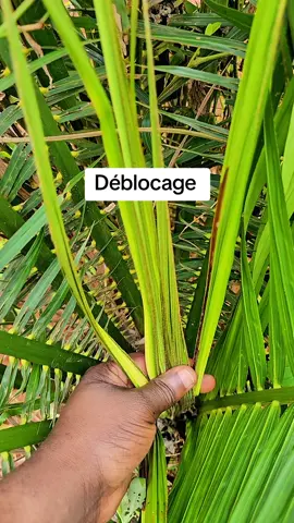 la spiritualité na pas de limite 