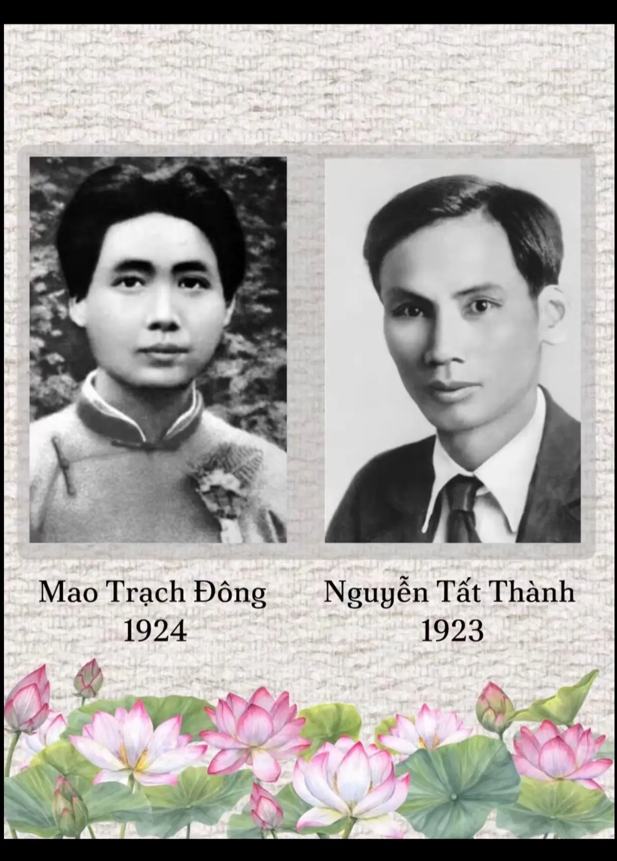 Tình cảm của Việt Nam và Trung Quốc vào thời Mao Trạch Đông 🇻🇳🇻🇳🇻🇳 #vietnam #hochiminh #maotrachdong #trungquoc #lichsuvietnam 