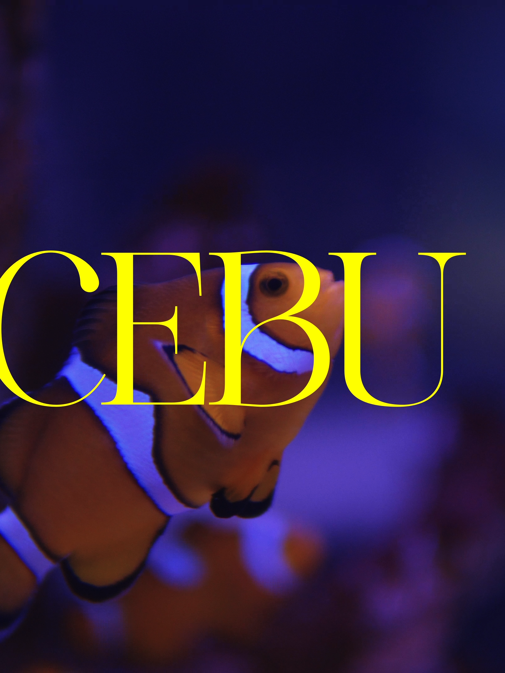 Cebu Ocean Park - 4K #cinematic #cinematography #videography #sonyalpha #cebuoceanpark