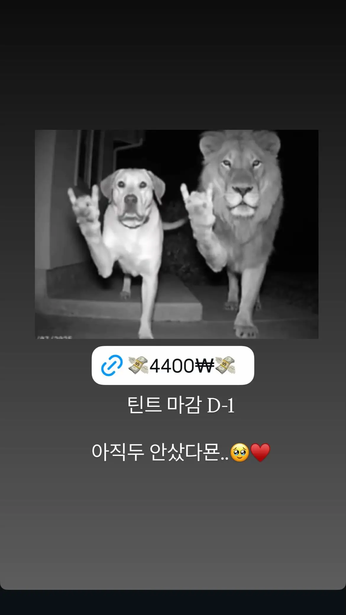 구매는 프로필링크에서!!