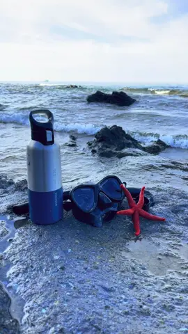 #dztiktok #algerie🇩🇿 #dz 