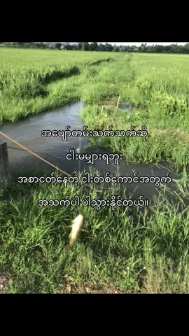 #lyrics #xyzbca #vrial #foryou #crd 