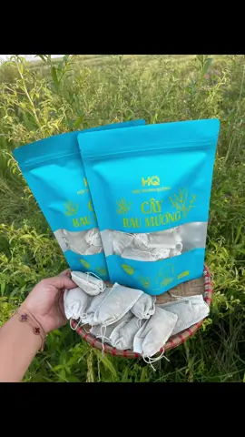 Cây rau mương #raumuong #traraumuong #tratuiloc #xuhuong 