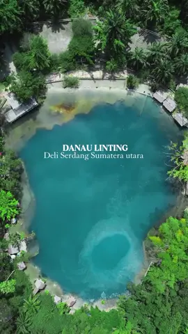 Di balik hutan Deli Serdang, ada danau cantik bernama Linting. Airnya berwarna hijau kebiruan, suasananya adem, dan jadi spot healing alami yang bikin hati tenang ✨ Cr/IG: @raihansyhdnst_ 📍   Deli Serdang, Sumatera Utara #WonderfulIndonesia  #ExploreIndonesia #ExploreSumateraUtara #DanauLinting #SumateraUtara 