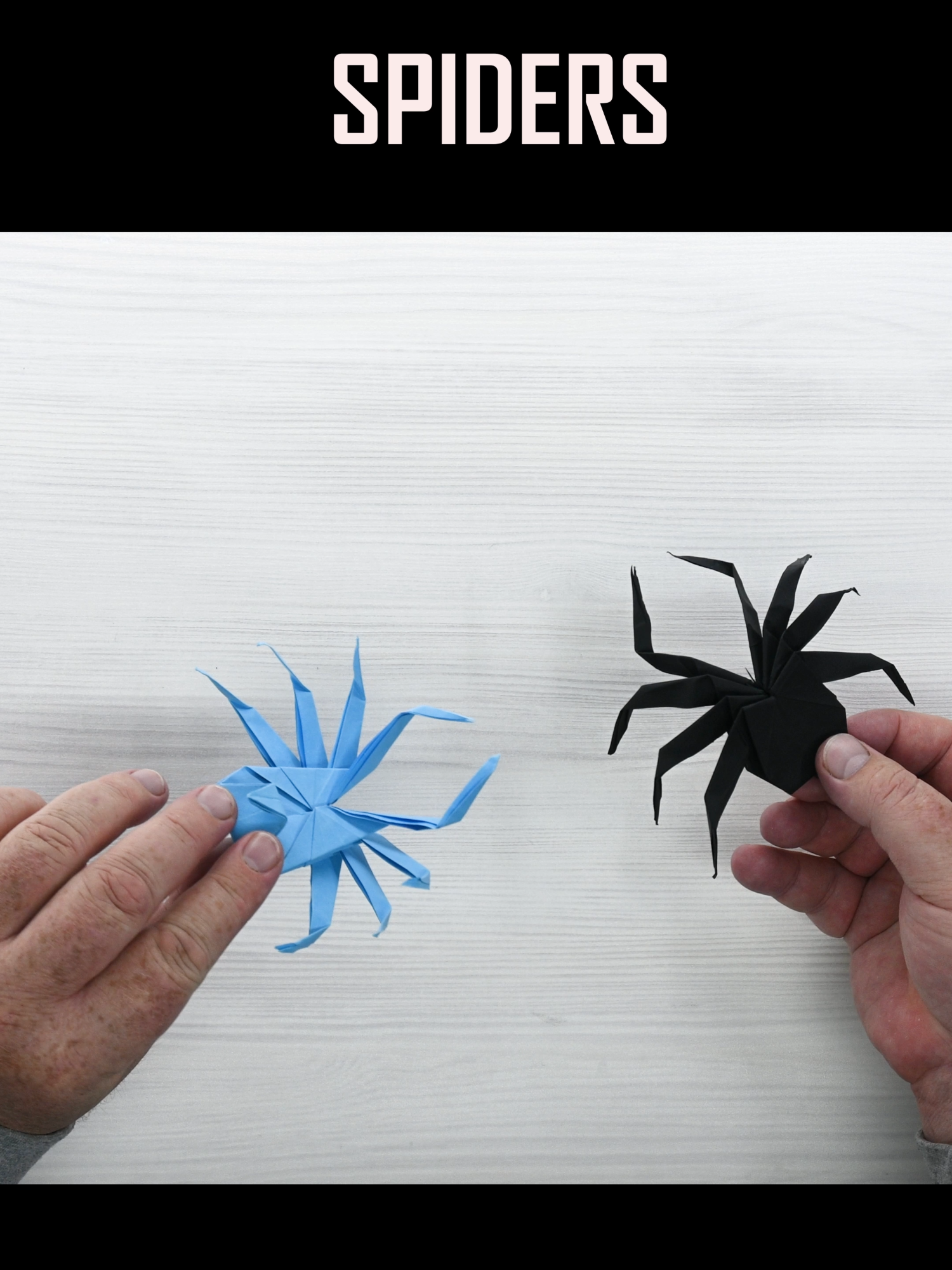 Nightmare Spiders Origami #easyorigami #origami #halloween #decoration