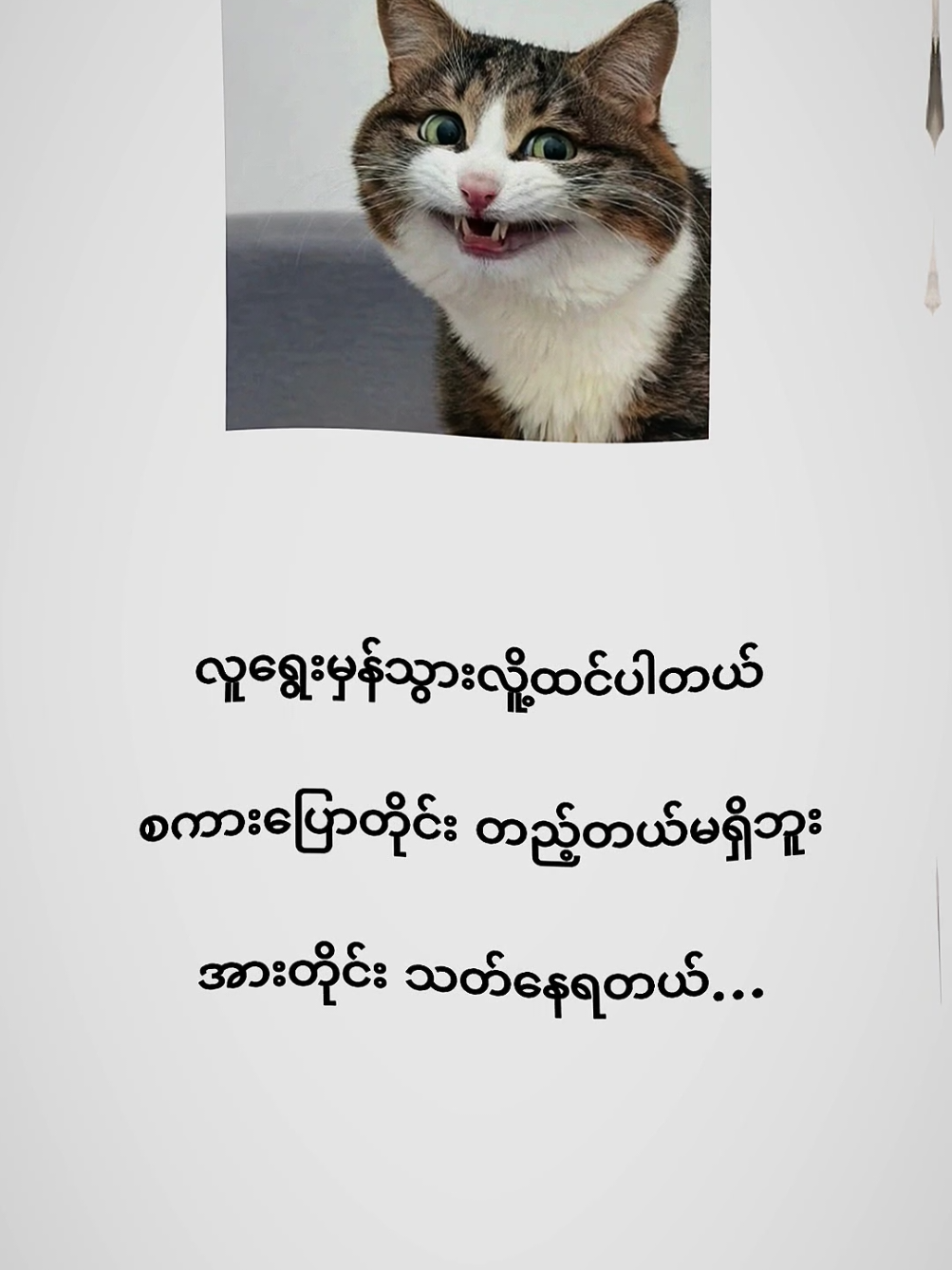 @ခေါ်ရဲမှခေါ်နော်🤪🤪   #ချစ်စရာကောင်းတာတစ်ခုပြမယ်🥺🎀 #ဒီတစ်ပုဒ်တော့fypပေါ်ရောက်ချင်တယ် #ရောက်ချင်တဲ့နေရာရောက်👌 #ခင်ဗျားတို့ပေးမှ❤ရမဲ့လူပါဗျာ 