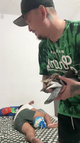 Info kolongan doro lurd… 