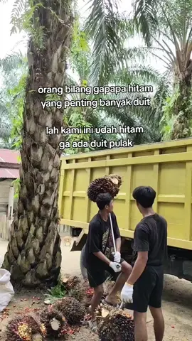 duitnya di all in ke arisan online 🗿 #fyp #lewwtberanda #kulisawit #masukberanda 