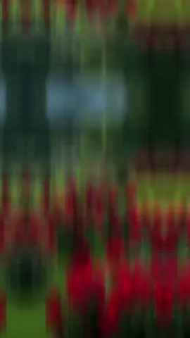 #نادر_الجرادي #ياهل_الهوى #مجرد________ذووووووق🎶🎵💞 #trend #