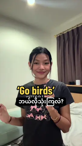 Go birds 🦅 #learnenglishwithmyway #LearnOnTikTok #myanmar 