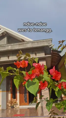 Allahumma sholli ala muhammad #rumahimpian #rumahminimalis #rumahidaman #inspirasirumah 