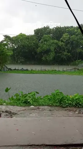 নিজেদের দোকানে বসে 🥰🥰🥰🥰🥰🥰