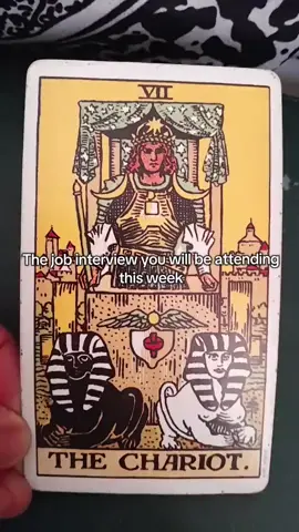 PRIVATE READINGS ARE NOW AVAILABLE FOR YOU TO BOOK TODAY CLICK THE LINK IN MY BIO ✨️ #tarot #tarotreader #tarotreading #career #eirenesirius 