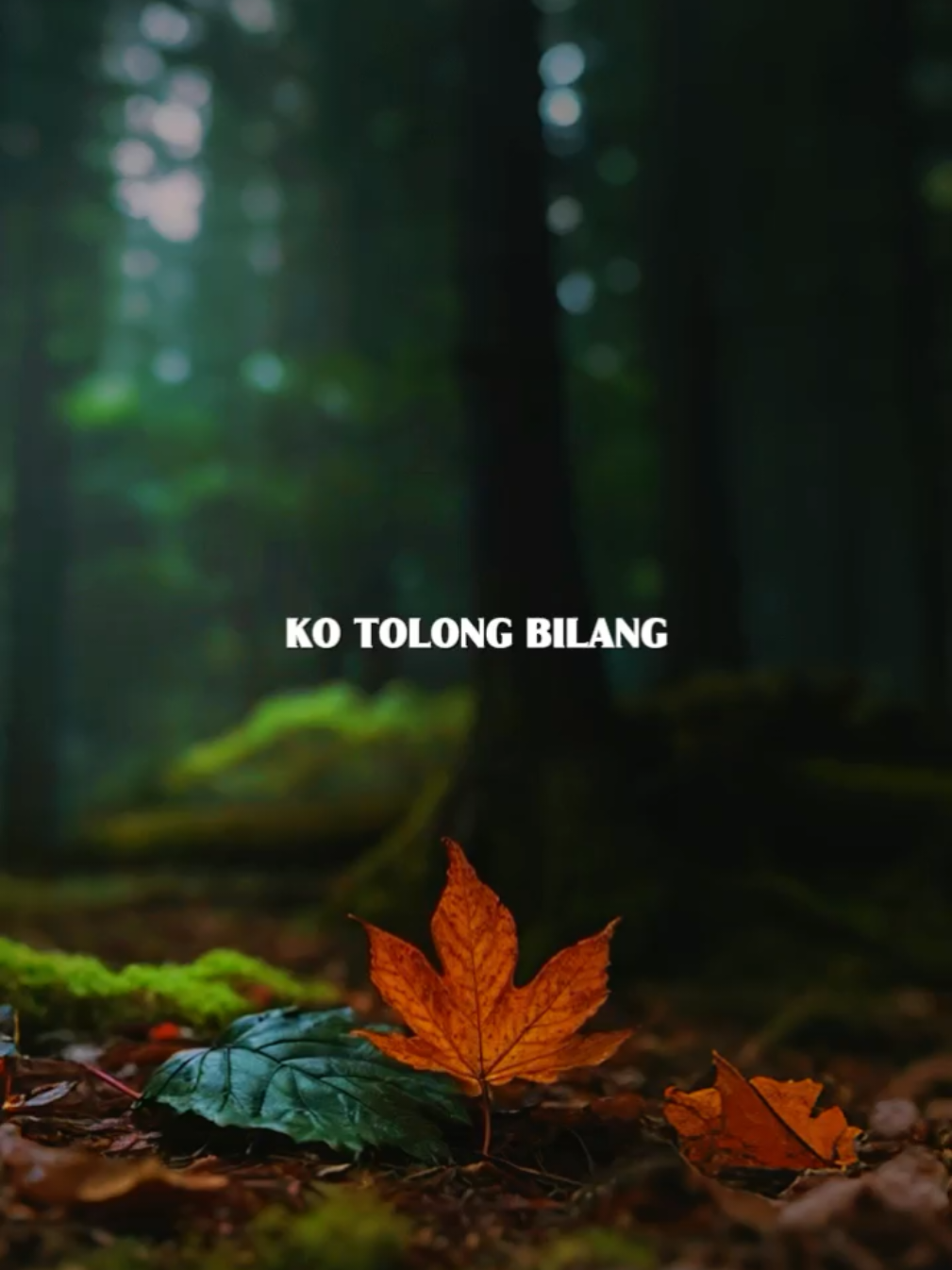 Ngapain repot - Restianade [ Cover ] #CapCut #ngapainrepot #restianade🌵  #lagutimur #lewatberanda 