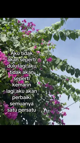 Bismillah kita usahakan🤗 #masyaallahtabarakkallah #fyppppppppppppppppppppppppppppppppppp #katakatamotivasi #fyppppppppppppppppppppppppppppppppppp #pecintaarabicsong 