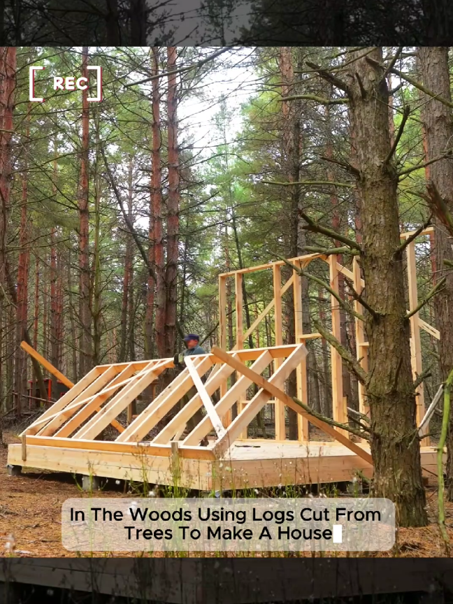 Part 1. I built a standalone handcrafted cabin in the woods #diybuild #buildingahouse #diyhouse #houseconstruction #build #construction #builder #constructionworker #cabinbuild #buildingacabin 