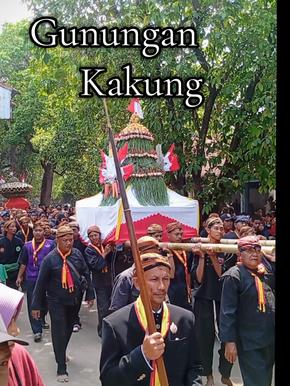 Gunungan Kakung Garebeg Mulud Karaton Surakarta Hadiningrat 2025 #gunungan #gunungankakung #garebegmulud #sekatensolo #karatonsurakartahadiningrat 