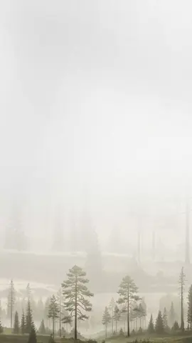 🤎 #بشارات_الكترونيه #بشارة_مولود #بشارة_مواليد #تصاميم_الموج 