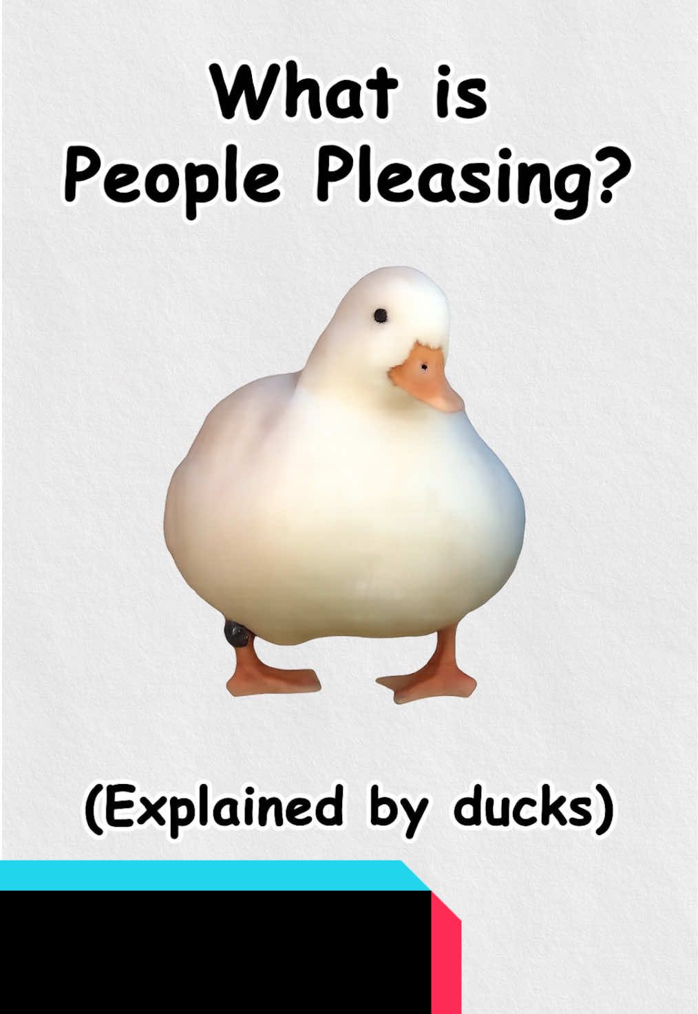 What is people pleasing? Explained by ducks #ducks #peoplepleaser #peoplepleasing #explained #ducksoftiktok 
