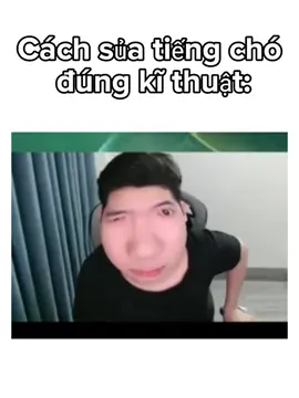 #lienquanmobile #xuhuong #aov #viral #gaugau 