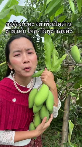 มะม่วงแพงสุดในรอบ 10 ปี เพราะมะม่วงเขมรไม่ได้ถูกนำเข้ามา ขอให้ชาวสวนมะม่วงได้ลืมตาอ้าปากบ้างนะคะ