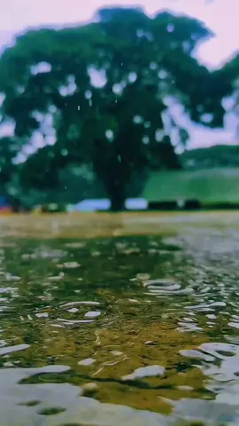 ✨ just like a good storm, life can be intense, unpredictable, and a little chaotic.  This downpour season is a powerful reminder that it's okay for things to get a little messy. The rain washes everything clean, nourishes the earth, and makes way for new growth. So, instead of fighting the storm, let's learn to dance in it. Embrace the heavy skies, the rumbling thunder, and the feeling of letting go. Because after every storm, the air is clearer, the world is greener, and we are just a little bit stronger. 💪 payting! ☺️ #mirasol  #StormVibes #LifeLessons #worksuspension  #naturelover 