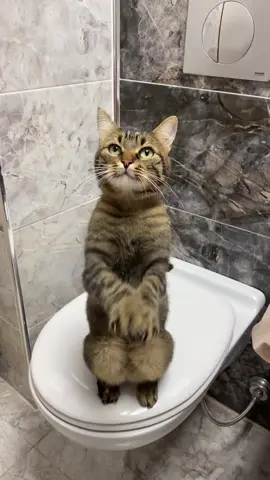 birisi şey yazmıştı abla daha çok yalvarsın nolur diye bu senin için ablammm 🌹♥️🧿