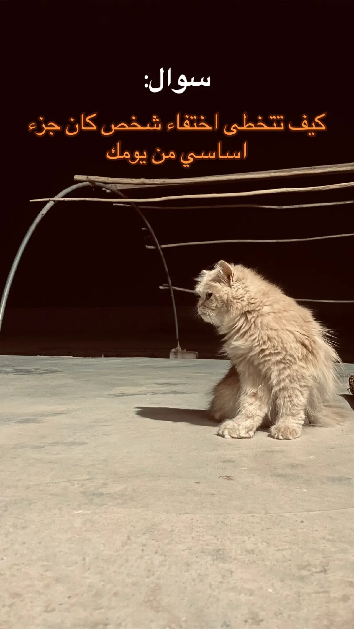 #الشعب_الصيني_ماله_حل😂😂 #تصويري_احترافي_الاجواء👌🏻🕊😴🎬 #شعور 