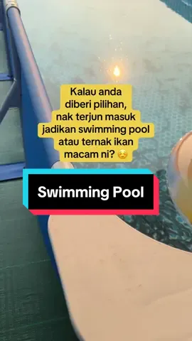 Kolam #intex saiz besar buat #swimming atau ternak #ikan #keli #tilapia atau apa sahaja 