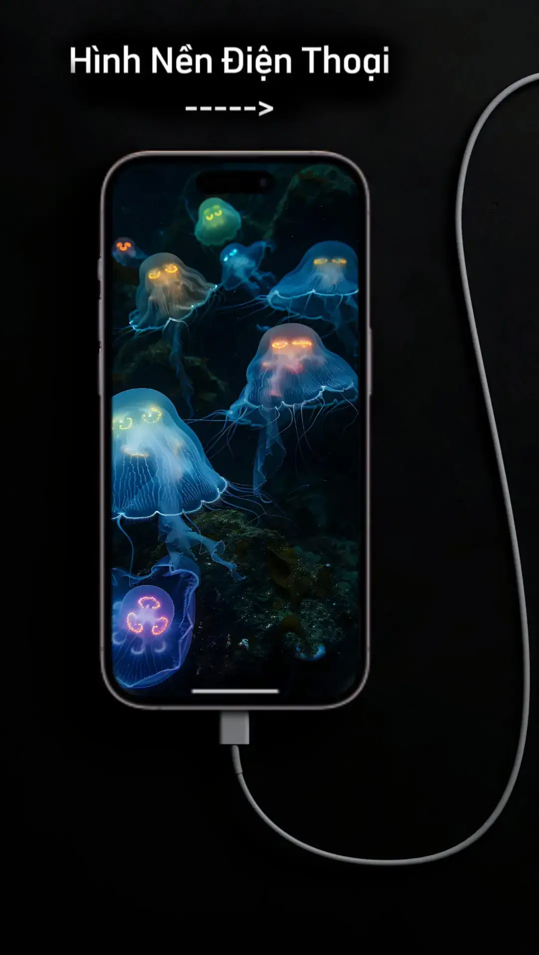 Hình nền Sứa biển #HìnhNềnđiệnthoại #Hìnhnềnđộcđáo #wallpaper #Ảnhđẹp_full 