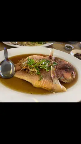 Mersing is a small town which  boasts many family run eateries and restoran YJL is one of them.the seafood is fresh,the dishes home cooked and tasty ,drop by if you happen to be nearby .#mersingseafood #restoranyjlmersing #yjlmersing #seafood #restoranYJL 