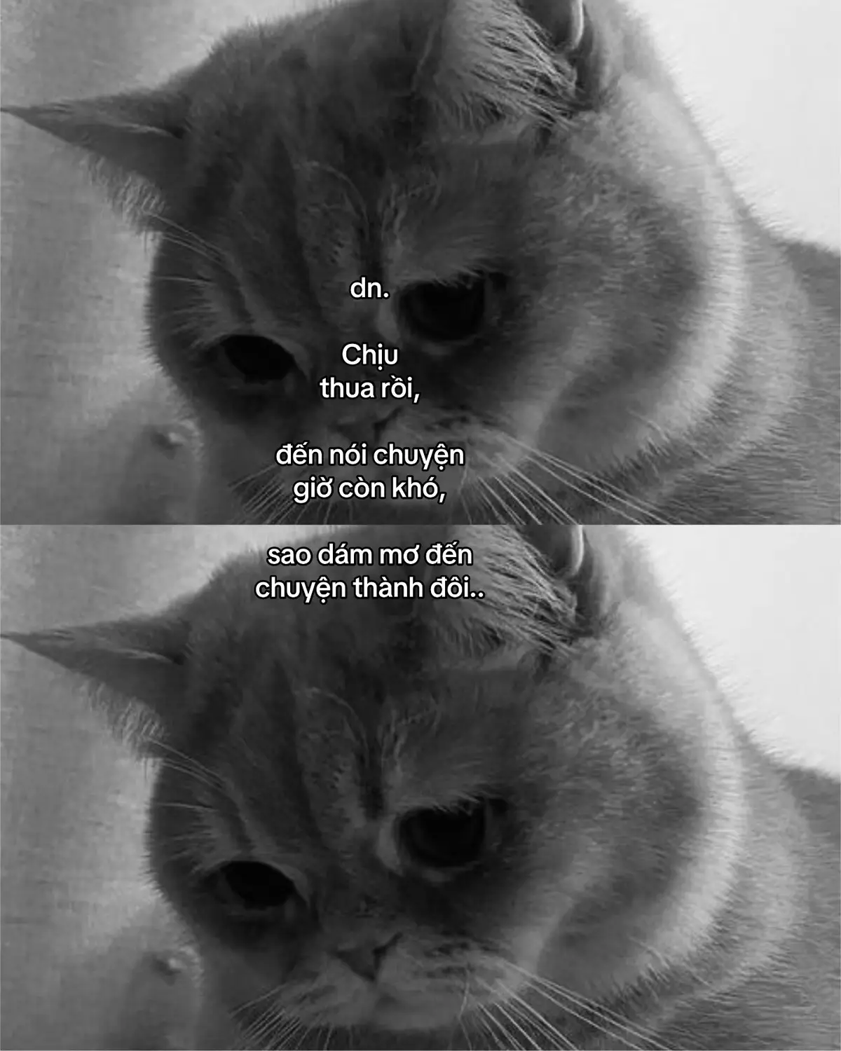 #fyp #tamtrang #viral #xuhuong 