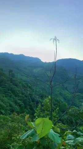Đố biết đây là đâu !!