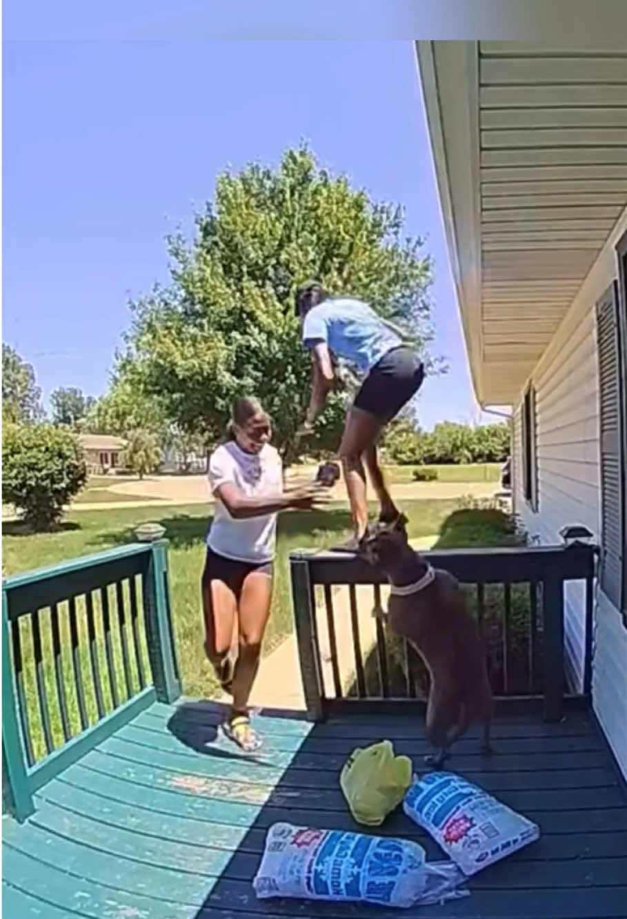 People running away from dog#funny #fyp #dog #funnydog #funnyvideos #doglover #foryoupage #usa 