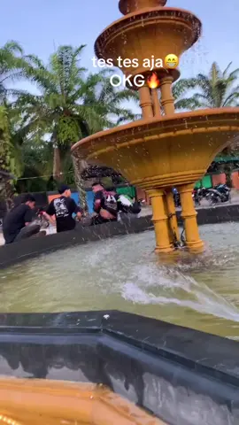 One king Golden🔥🔥🔥🔥🔥