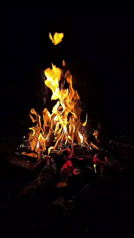 #محمود_الحياني #يهيمني_ضناك_انصاح_يابا💔 #مواويل_عراقية_حزينه💔 #حزينہ♬🥺💔 #لايك__explore___ 