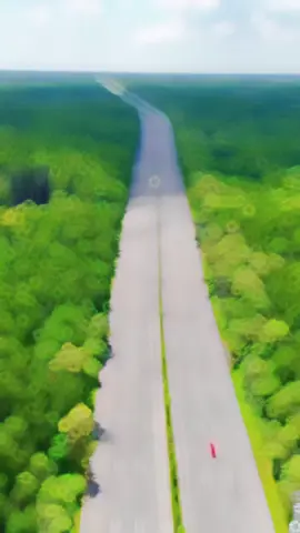 Màu xanh rộng lớn trên hình là khu dự trữ sinh quyển rừng ngập mặn Cần Giờ - 75.000ha 🍀 UNESCO đã công nhận đây là khu dự trữ sinh quyển thế giới. Là lá phổi xanh cho TP. Hồ Chí Minh và là một trong những lá phổi xanh cho cả khu vực Đông Nam Á.  Để dễ quy ước thì cả đất nước Singapore diện tích là 73.570 ha.  Tức là siêu đô thị Vinhomes Green Paradise được cung cấp một nguồn oxy sạch, trong lành từ một khu rừng còn lớn hơn cả Singapore. ------------ #VinhomesGreenParadise #VinhomesCanGio