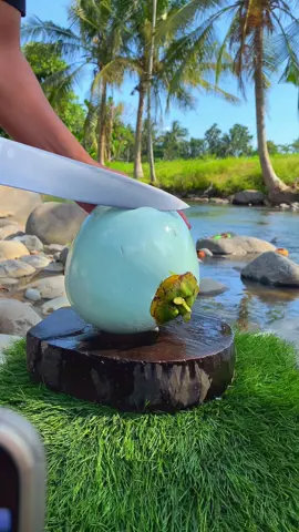 ASMR COCONUT CUTTING #CoconutCutting #CoconutChallenge #CuttingCoconut #CoconutVibes #CoconutArt #SliceTheCoconut #CoconutSkills #SharpCutCoconut #CoconutSliceChallenge #TropicalCut #CuttingCoconut #CoconutReels #SatisfyingCut #TropicalVibes #FreshCoconut #CoconutLovers 