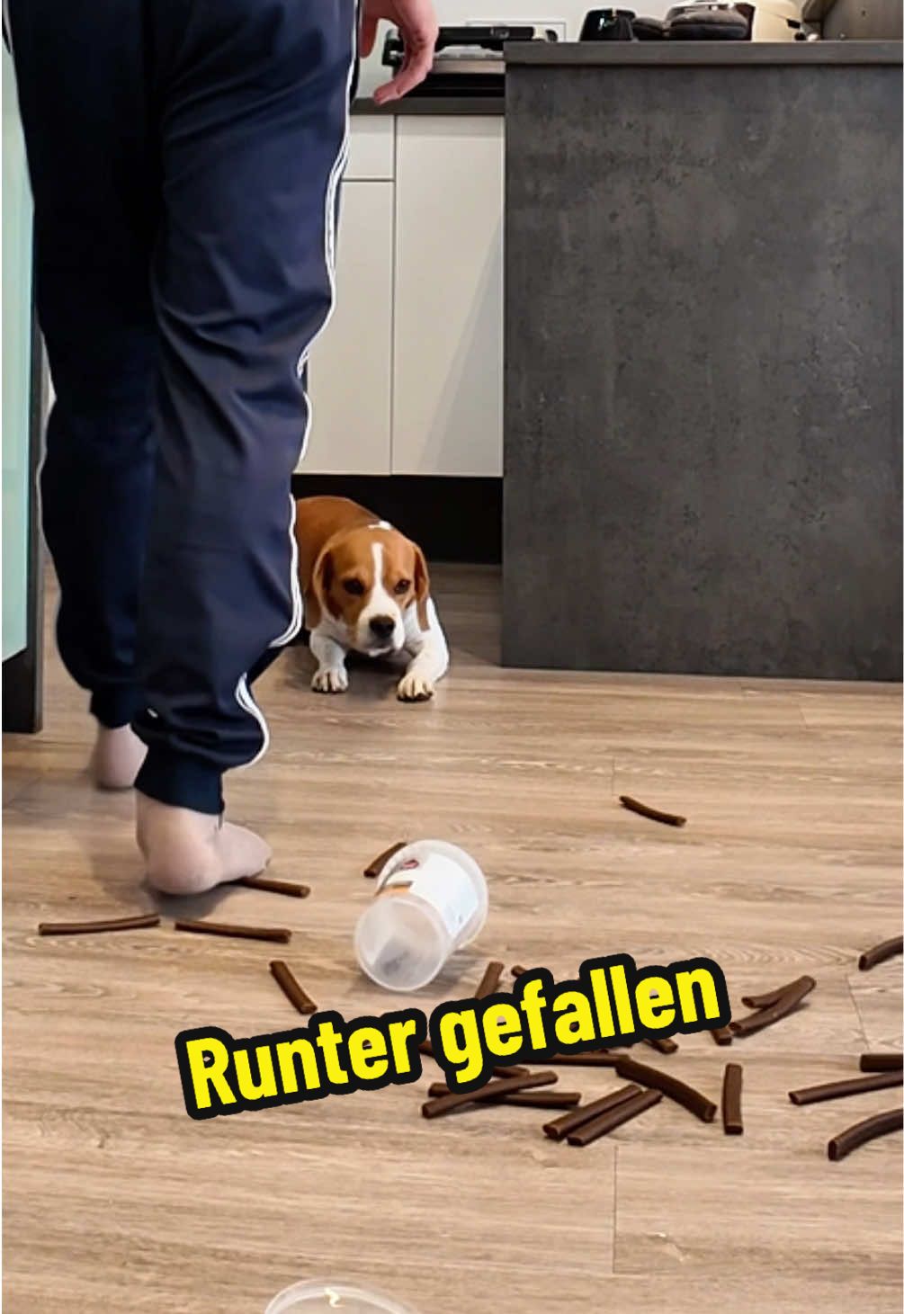 Ad| Mir fallen Leckerlis aus der Hand.  Rabattcode schreibt mir auf Instagram eine DM