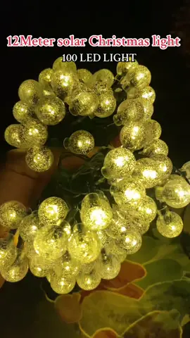 Solar Christmas light 