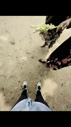 Mirpur College....🫶 #mirpur_collage_dhaka #foryoupage #vairalvideo #tiktok #tiktokbangladesh 