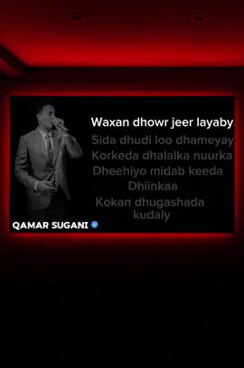 Sida dhudi loo dhameeyay🫶🤍#jawi_bila🌊❤️🌴 #lyrics_songs #somalimusic #somalitiktok 