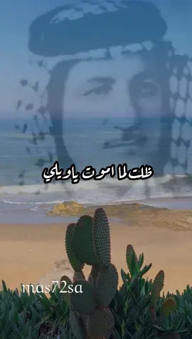 #داخل_حسن #ظلت_لما_اموت #تانيني 