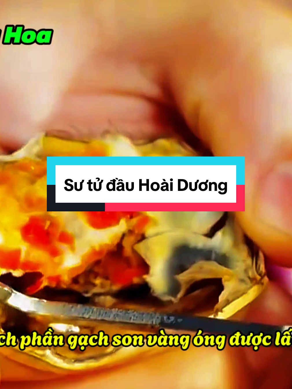 Món đặc biệt cầu kì - Sư tử đầu Hoài Dương #amthuc #amthuctrunghoa #amthuctrungquoc 