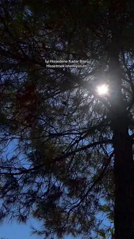 #keşfet #keşfet #beniöneçıkart #foryou 