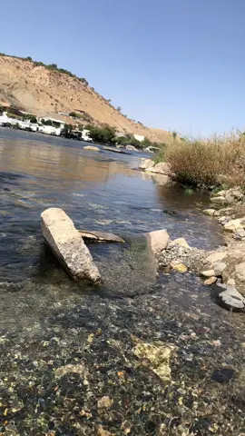 #ppppppppppppp #رعدالناصري كون عندي جناح 🪽.      PPPPPPPPPPPPPPPPPPPPP @♡ الہٰشيٰخ ♡ @⌇الايطاليه🇮🇹⌇ @𝘽𝙍𝙃𝙈²⁰⁰⁷   غرير وعز غرير طشششوني #لايكات 🔫 🔫 اربيل سلايمانيه دهوك زاخو جبل ازمر 